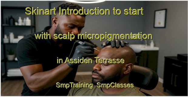 Skinart Introduction to start with scalp micropigmentation in Assiden Terrasse | SmpTraining | SmpClasses | SkinartTraining-Norway