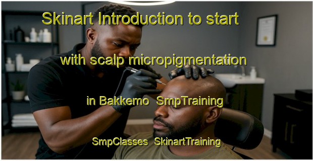 Skinart Introduction to start with scalp micropigmentation in Bakkemo | SmpTraining | SmpClasses | SkinartTraining-Norway