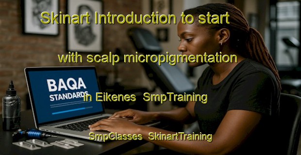Skinart Introduction to start with scalp micropigmentation in Eikenes | SmpTraining | SmpClasses | SkinartTraining-Norway