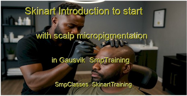Skinart Introduction to start with scalp micropigmentation in Gausvik | SmpTraining | SmpClasses | SkinartTraining-Norway
