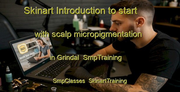 Skinart Introduction to start with scalp micropigmentation in Grindal | SmpTraining | SmpClasses | SkinartTraining-Norway