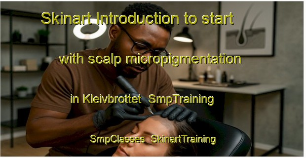 Skinart Introduction to start with scalp micropigmentation in Kleivbrottet | SmpTraining | SmpClasses | SkinartTraining-Norway