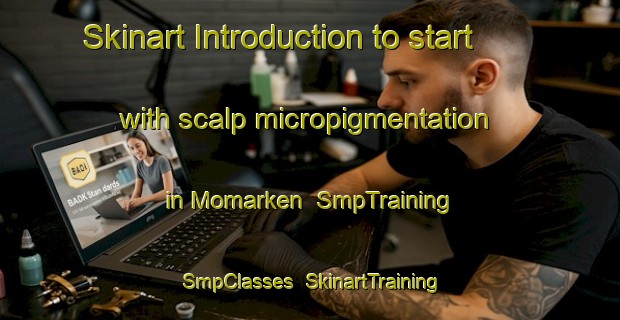 Skinart Introduction to start with scalp micropigmentation in Momarken | SmpTraining | SmpClasses | SkinartTraining-Norway