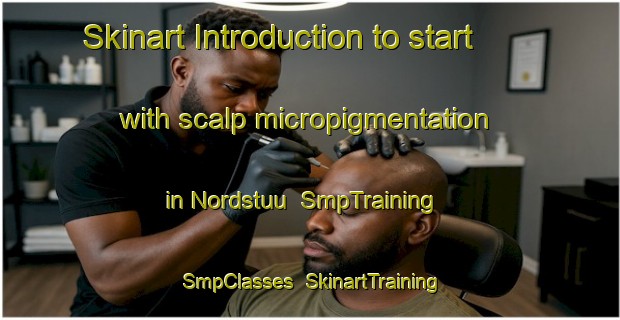 Skinart Introduction to start with scalp micropigmentation in Nordstuu | SmpTraining | SmpClasses | SkinartTraining-Norway