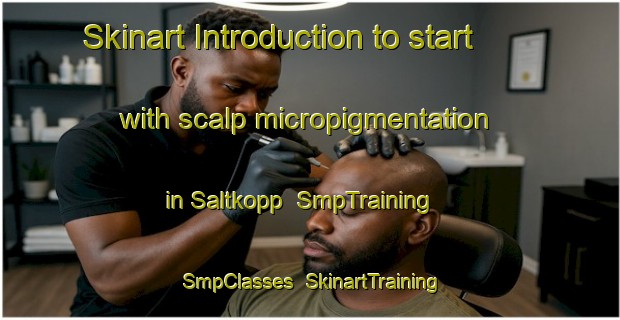 Skinart Introduction to start with scalp micropigmentation in Saltkopp | SmpTraining | SmpClasses | SkinartTraining-Norway