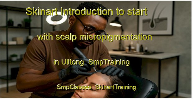 Skinart Introduction to start with scalp micropigmentation in Ulltong | SmpTraining | SmpClasses | SkinartTraining-Norway