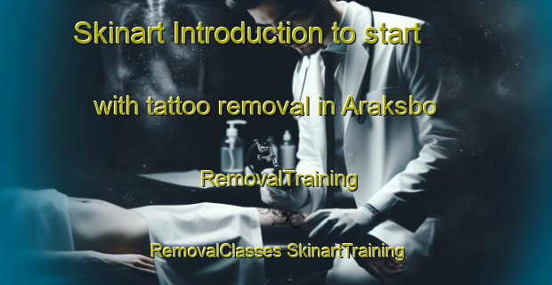 Skinart Introduction to start with tattoo removal in Araksbo | #RemovalTraining #RemovalClasses #SkinartTraining-Norway