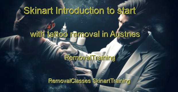 Skinart Introduction to start with tattoo removal in Austnes | #RemovalTraining #RemovalClasses #SkinartTraining-Norway