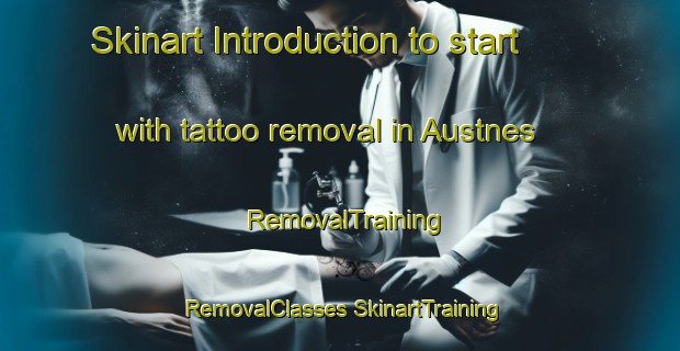 Skinart Introduction to start with tattoo removal in Austnes | #RemovalTraining #RemovalClasses #SkinartTraining-Norway