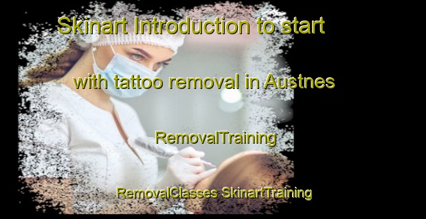 Skinart Introduction to start with tattoo removal in Austnes | #RemovalTraining #RemovalClasses #SkinartTraining-Norway