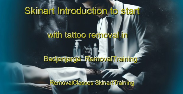 Skinart Introduction to start with tattoo removal in Badjenjarga | #RemovalTraining #RemovalClasses #SkinartTraining-Norway