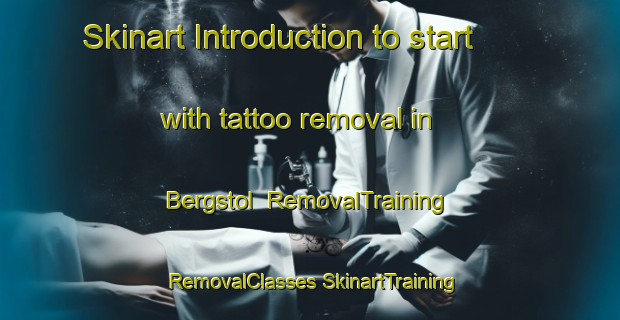 Skinart Introduction to start with tattoo removal in Bergstol | #RemovalTraining #RemovalClasses #SkinartTraining-Norway