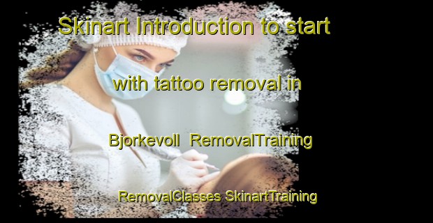 Skinart Introduction to start with tattoo removal in Bjorkevoll | #RemovalTraining #RemovalClasses #SkinartTraining-Norway