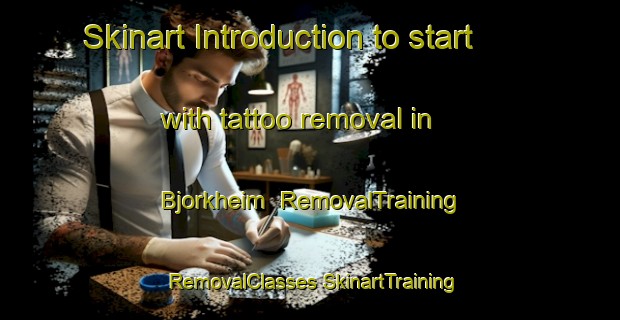 Skinart Introduction to start with tattoo removal in Bjorkheim | #RemovalTraining #RemovalClasses #SkinartTraining-Norway