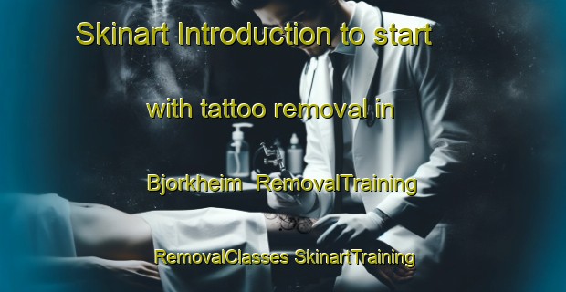 Skinart Introduction to start with tattoo removal in Bjorkheim | #RemovalTraining #RemovalClasses #SkinartTraining-Norway