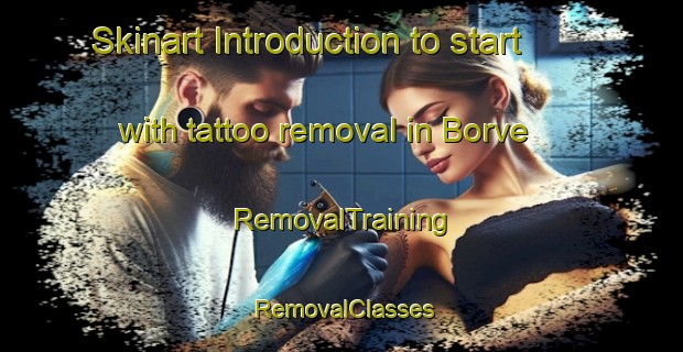 Skinart Introduction to start with tattoo removal in Borve | RemovalTraining | RemovalClasses | SkinartTraining-Norway