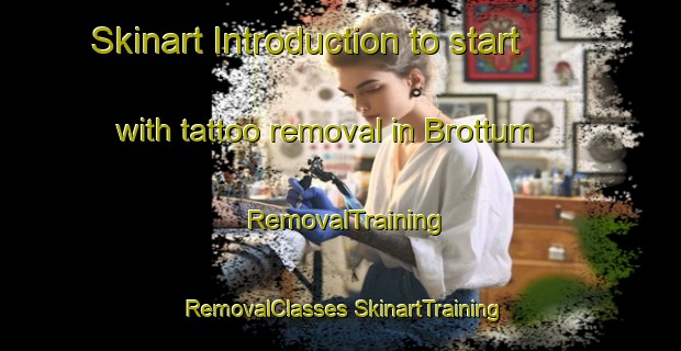 Skinart Introduction to start with tattoo removal in Brottum | #RemovalTraining #RemovalClasses #SkinartTraining-Norway