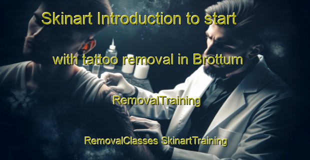 Skinart Introduction to start with tattoo removal in Brottum | #RemovalTraining #RemovalClasses #SkinartTraining-Norway