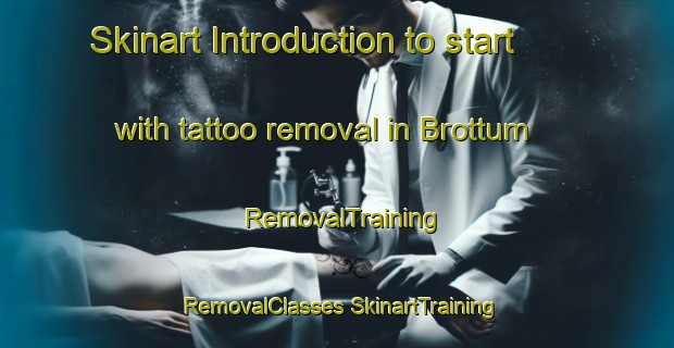 Skinart Introduction to start with tattoo removal in Brottum | #RemovalTraining #RemovalClasses #SkinartTraining-Norway