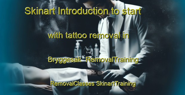 Skinart Introduction to start with tattoo removal in Bryggesak | #RemovalTraining #RemovalClasses #SkinartTraining-Norway