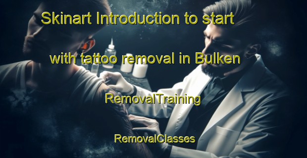 Skinart Introduction to start with tattoo removal in Bulken | RemovalTraining | RemovalClasses | SkinartTraining-Norway