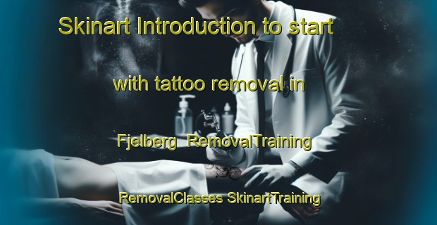 Skinart Introduction to start with tattoo removal in Fjelberg | #RemovalTraining #RemovalClasses #SkinartTraining-Norway