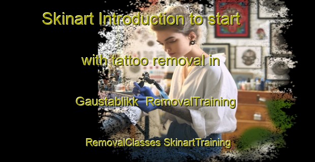 Skinart Introduction to start with tattoo removal in Gaustablikk | #RemovalTraining #RemovalClasses #SkinartTraining-Norway