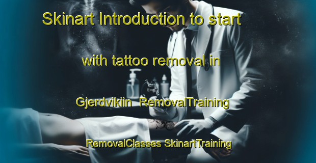 Skinart Introduction to start with tattoo removal in Gjerdvikiin | #RemovalTraining #RemovalClasses #SkinartTraining-Norway