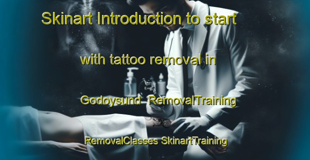 Skinart Introduction to start with tattoo removal in Godoysund | #RemovalTraining #RemovalClasses #SkinartTraining-Norway