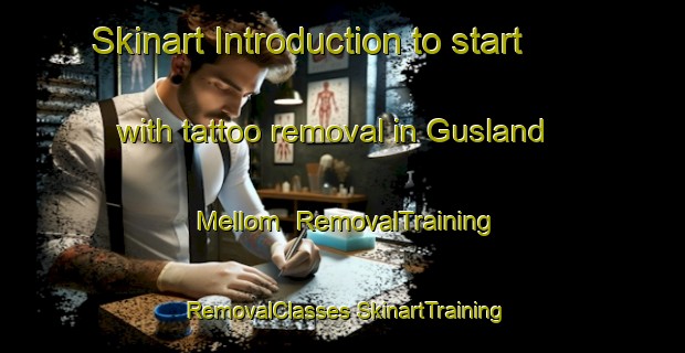 Skinart Introduction to start with tattoo removal in Gusland Mellom | #RemovalTraining #RemovalClasses #SkinartTraining-Norway