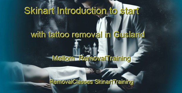 Skinart Introduction to start with tattoo removal in Gusland Mellom | #RemovalTraining #RemovalClasses #SkinartTraining-Norway