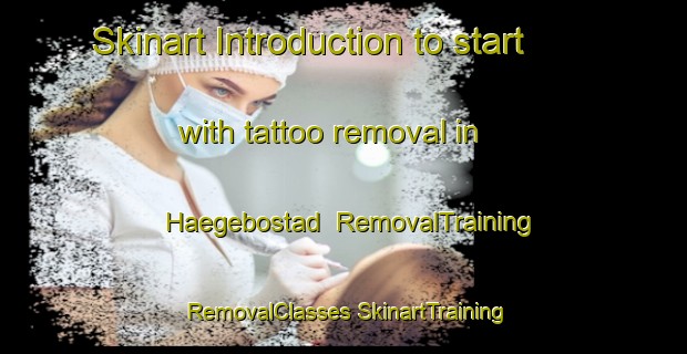 Skinart Introduction to start with tattoo removal in Haegebostad | #RemovalTraining #RemovalClasses #SkinartTraining-Norway