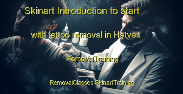 Skinart Introduction to start with tattoo removal in Hatveit | #RemovalTraining #RemovalClasses #SkinartTraining-Norway