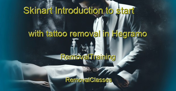 Skinart Introduction to start with tattoo removal in Hegramo | RemovalTraining | RemovalClasses | SkinartTraining-Norway