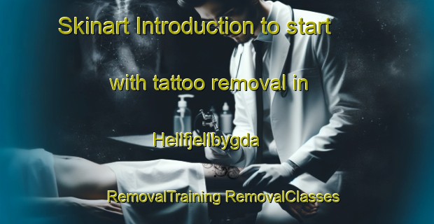 Skinart Introduction to start with tattoo removal in Hellfjellbygda | #RemovalTraining #RemovalClasses #SkinartTraining-Norway