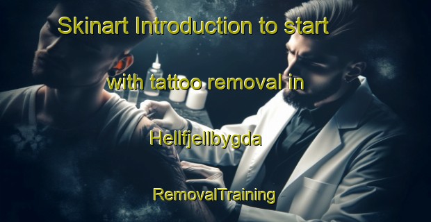 Skinart Introduction to start with tattoo removal in Hellfjellbygda | RemovalTraining | RemovalClasses | SkinartTraining-Norway