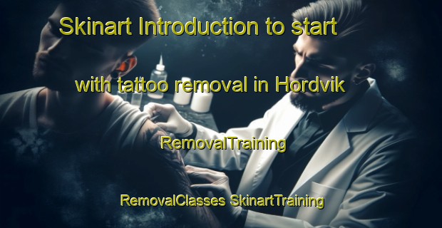 Skinart Introduction to start with tattoo removal in Hordvik | #RemovalTraining #RemovalClasses #SkinartTraining-Norway