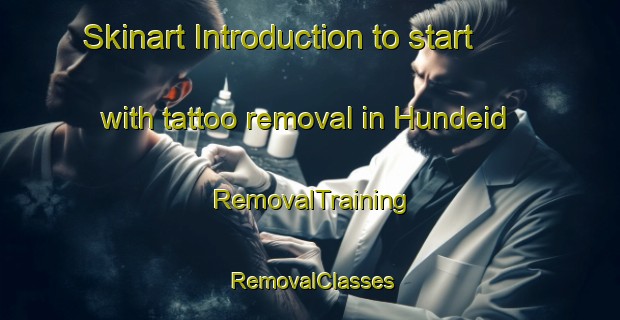 Skinart Introduction to start with tattoo removal in Hundeid | RemovalTraining | RemovalClasses | SkinartTraining-Norway