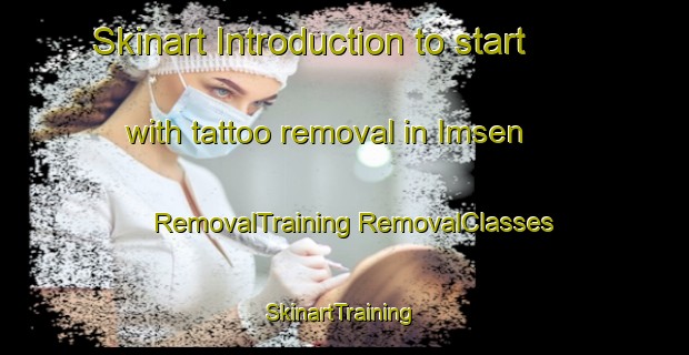 Skinart Introduction to start with tattoo removal in Imsen | #RemovalTraining #RemovalClasses #SkinartTraining-Norway