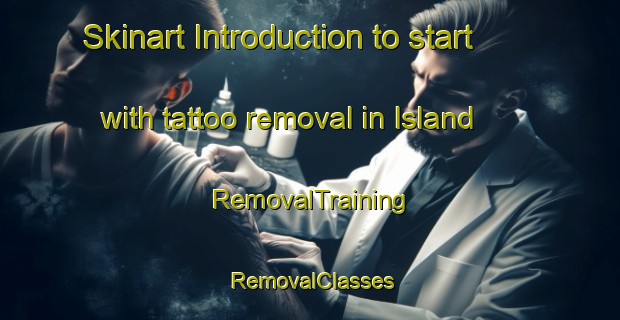 Skinart Introduction to start with tattoo removal in Island | RemovalTraining | RemovalClasses | SkinartTraining-Norway