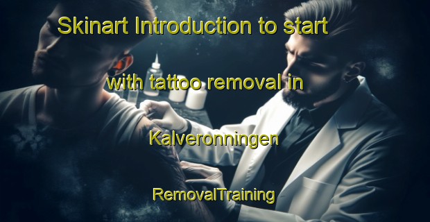 Skinart Introduction to start with tattoo removal in Kalveronningen | RemovalTraining | RemovalClasses | SkinartTraining-Norway