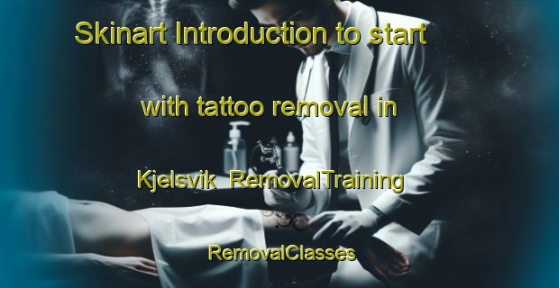 Skinart Introduction to start with tattoo removal in Kjelsvik | RemovalTraining | RemovalClasses | SkinartTraining-Norway
