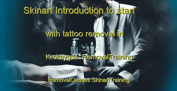 Skinart Introduction to start with tattoo removal in Krokbygda | #RemovalTraining #RemovalClasses #SkinartTraining-Norway