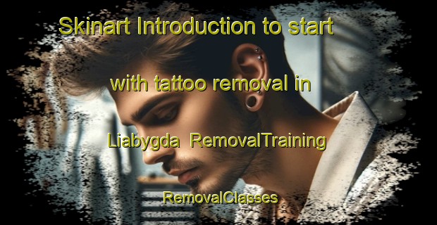 Skinart Introduction to start with tattoo removal in Liabygda | RemovalTraining | RemovalClasses | SkinartTraining-Norway