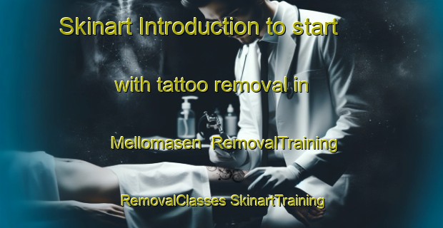 Skinart Introduction to start with tattoo removal in Mellomasen | #RemovalTraining #RemovalClasses #SkinartTraining-Norway