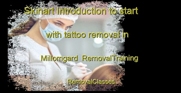 Skinart Introduction to start with tattoo removal in Millomgard | RemovalTraining | RemovalClasses | SkinartTraining-Norway