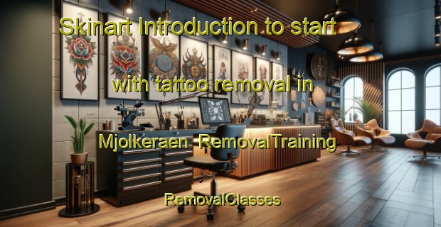 Skinart Introduction to start with tattoo removal in Mjolkeraen | RemovalTraining | RemovalClasses | SkinartTraining-Norway