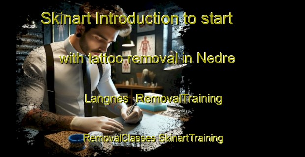 Skinart Introduction to start with tattoo removal in Nedre Langnes | #RemovalTraining #RemovalClasses #SkinartTraining-Norway