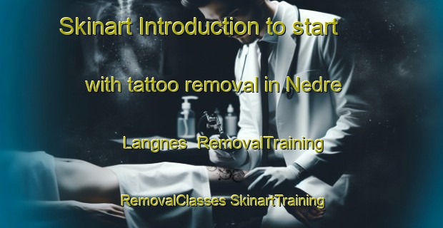 Skinart Introduction to start with tattoo removal in Nedre Langnes | #RemovalTraining #RemovalClasses #SkinartTraining-Norway