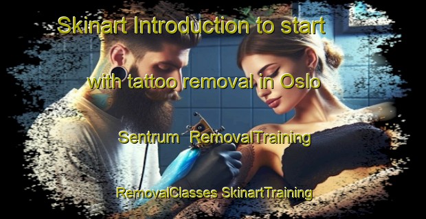 Skinart Introduction to start with tattoo removal in Oslo Sentrum | #RemovalTraining #RemovalClasses #SkinartTraining-Norway